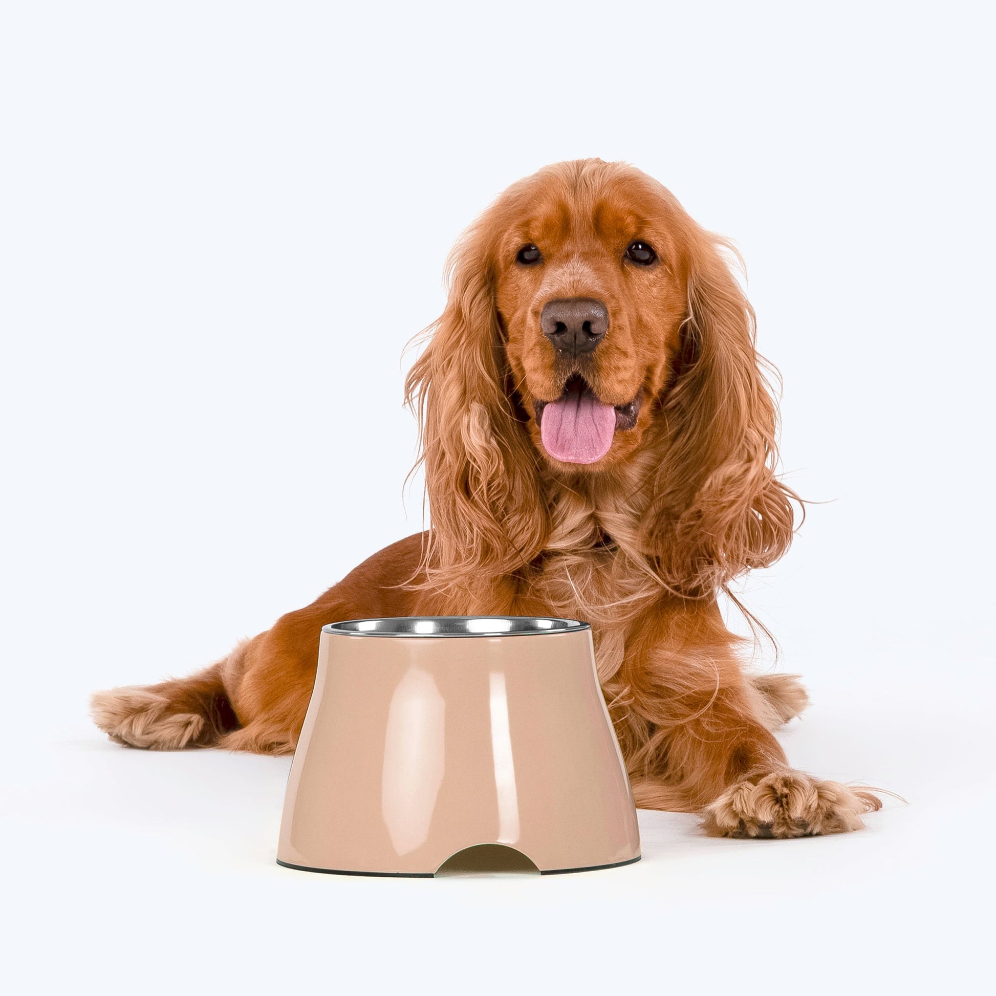 HUFT Elevated Bowl For Dogs & Cats - Peach - Heads Up For Tails