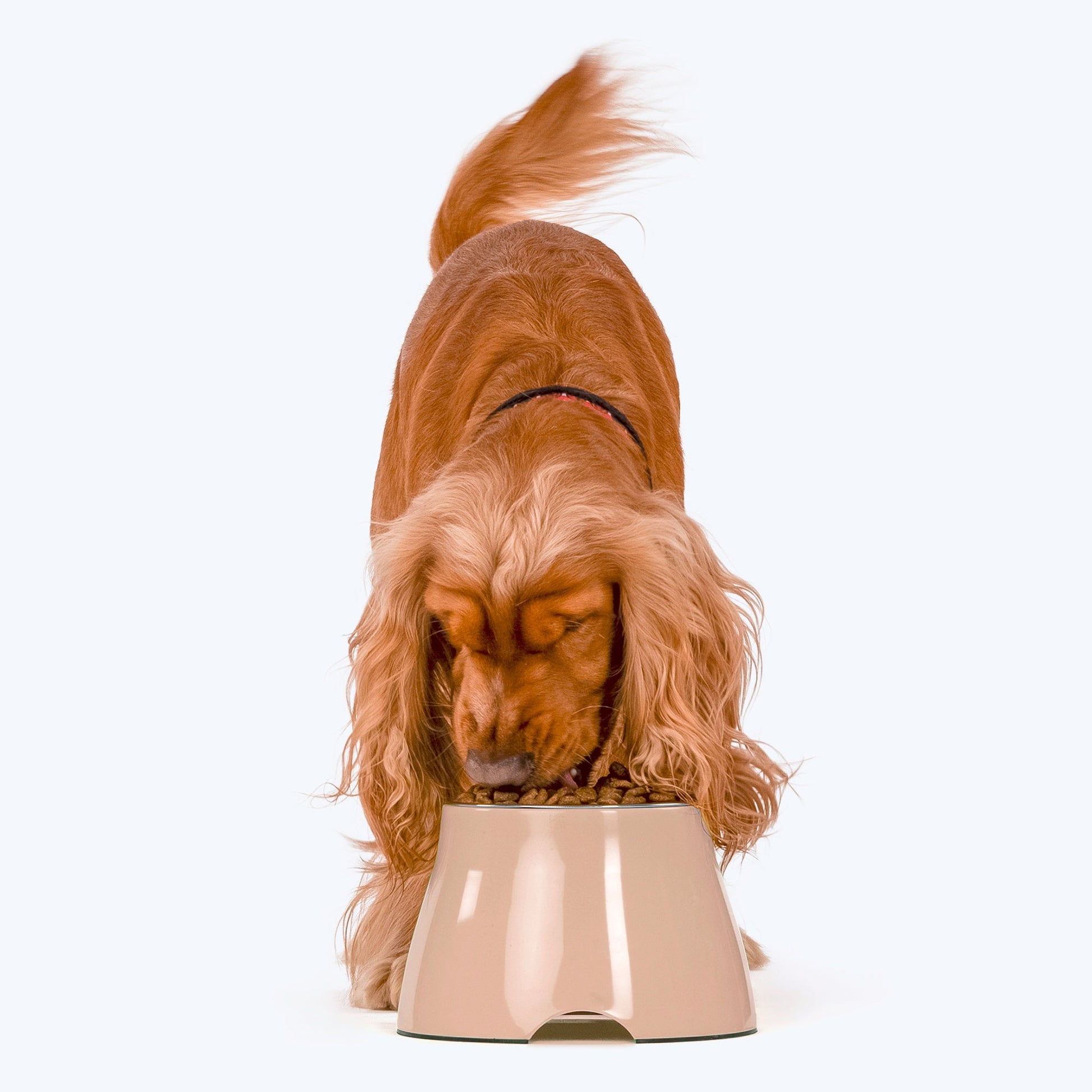 HUFT Elevated Bowl For Dogs & Cats - Peach - Heads Up For Tails
