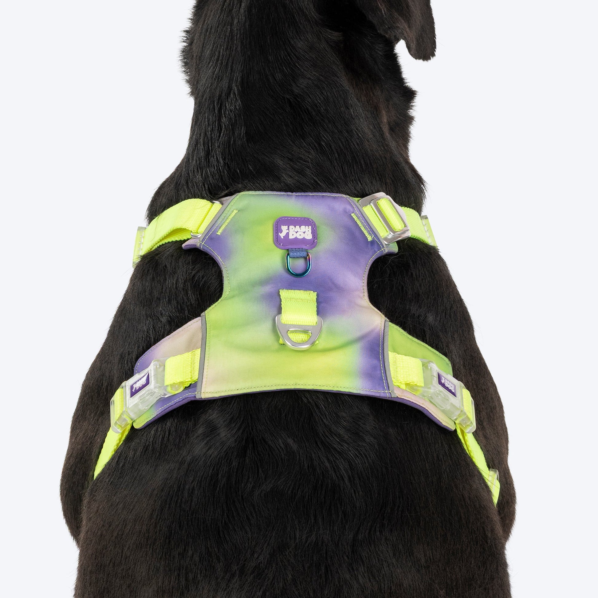 Dash Dog Neon Fusion Outdoor Ease Harness For Dog - Neon Green - Heads Up For Tails