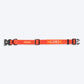 HUFT Personalised Classic Dog Collar - Rust Orange - Heads Up For Tails