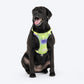 Dash Dog Neon Fusion Outdoor Ease Harness For Dog - Neon Green - Heads Up For Tails