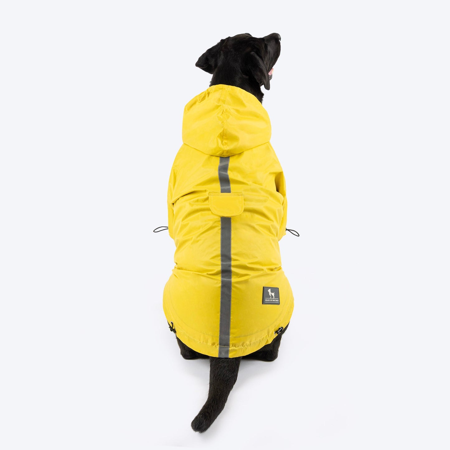 HUFT Magical Mist Raincoat With Harness Opening For Dog - Yellow - Heads Up For Tails