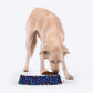 HUFT Love Confetti Printed Melamine Double Diner for Dogs - Navy - Heads Up For Tails