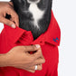 HUFT Paws Polo T-Shirt For Dog - Red - Heads Up For Tails