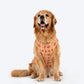 HUFT Customised Paw-tola Pawfect Brocade Sherwani For Dog - Cream - Heads Up For Tails