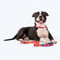 HUFT Sunset Samba Printed Dog Leash - Heads Up For Tails