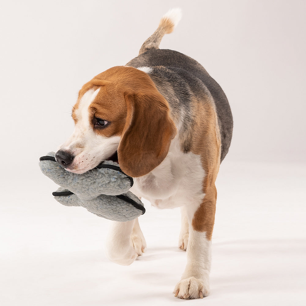 RESPLOOTÂ® Tuffles Koala Dog Toy - Heads Up For Tails