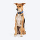 HUFT Polka Play Collar For Dog - Blue - Heads Up For Tails