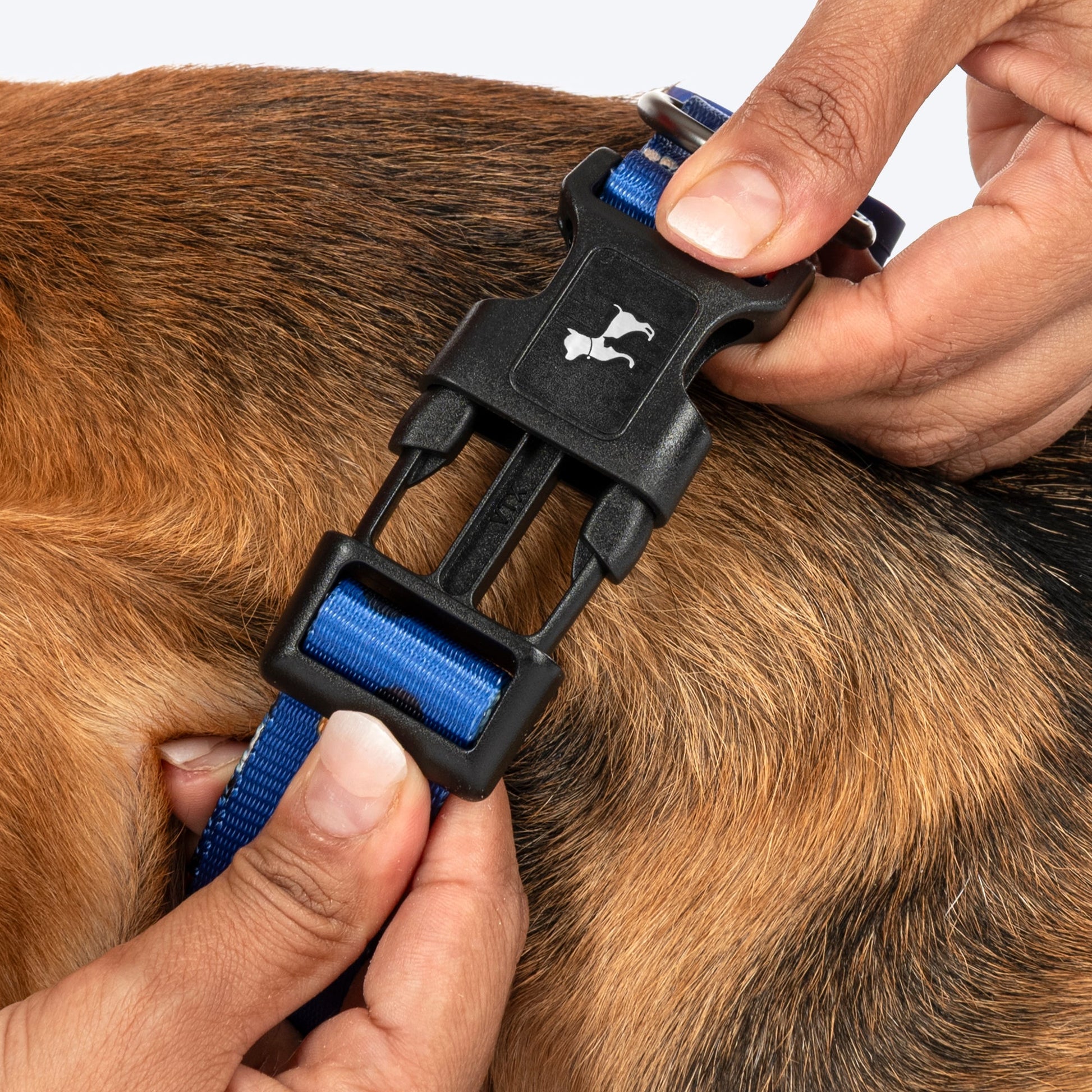 HUFT Polka Play Collar For Dog - Blue - Heads Up For Tails