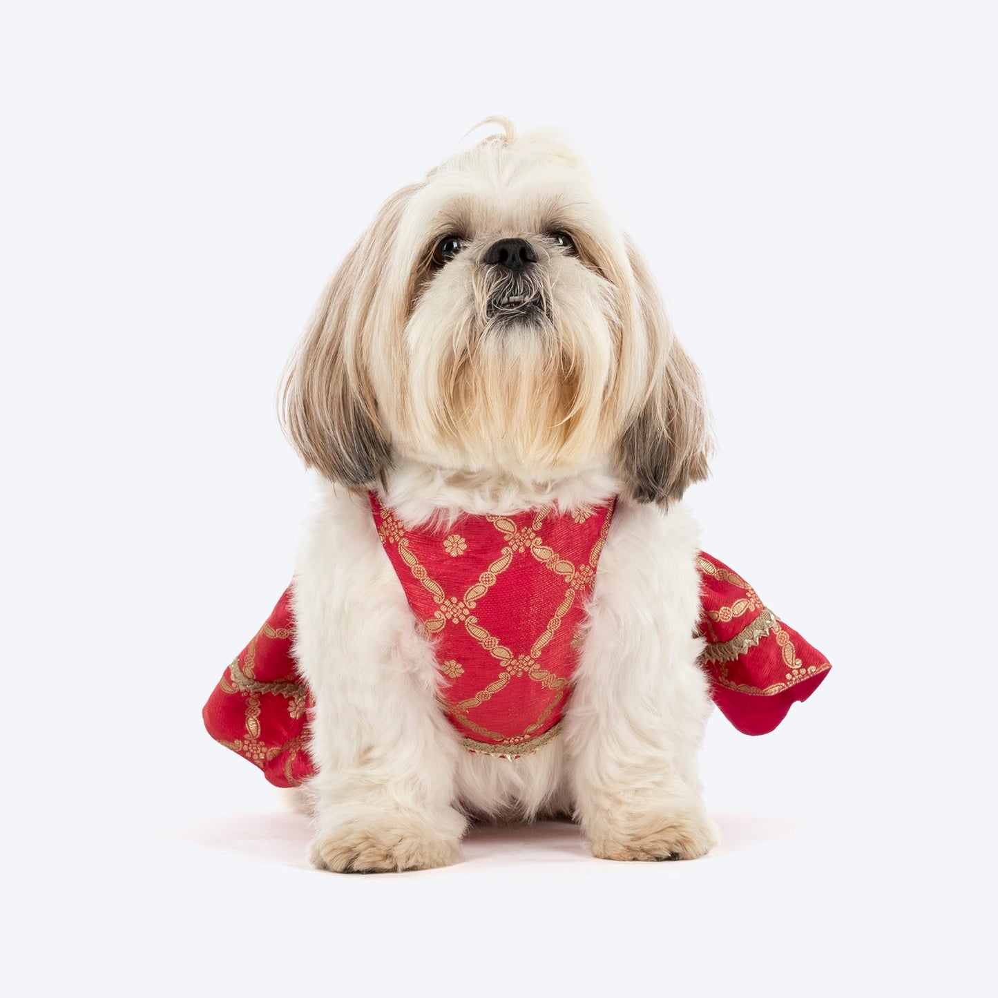 HUFT Customised Gulabi Zari Paws Brocade Lehenga Choli Set For Dog - Pink (As requested by Arpita) - Heads Up For Tails
