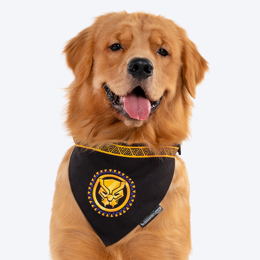 HUFT XÂ©Marvel Black Panther Dog Bandana - Heads Up For Tails