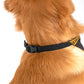 HUFT XÂ©Marvel Black Panther Dog Bandana - Heads Up For Tails