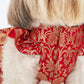 HUFT Customised Sona Sitara Brocade Lehenga Dress For Dog & Cat - Red - Heads Up For Tails