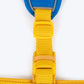 Dash Dog Walk Pro Harness For Dog - Royal Blue & Yellow