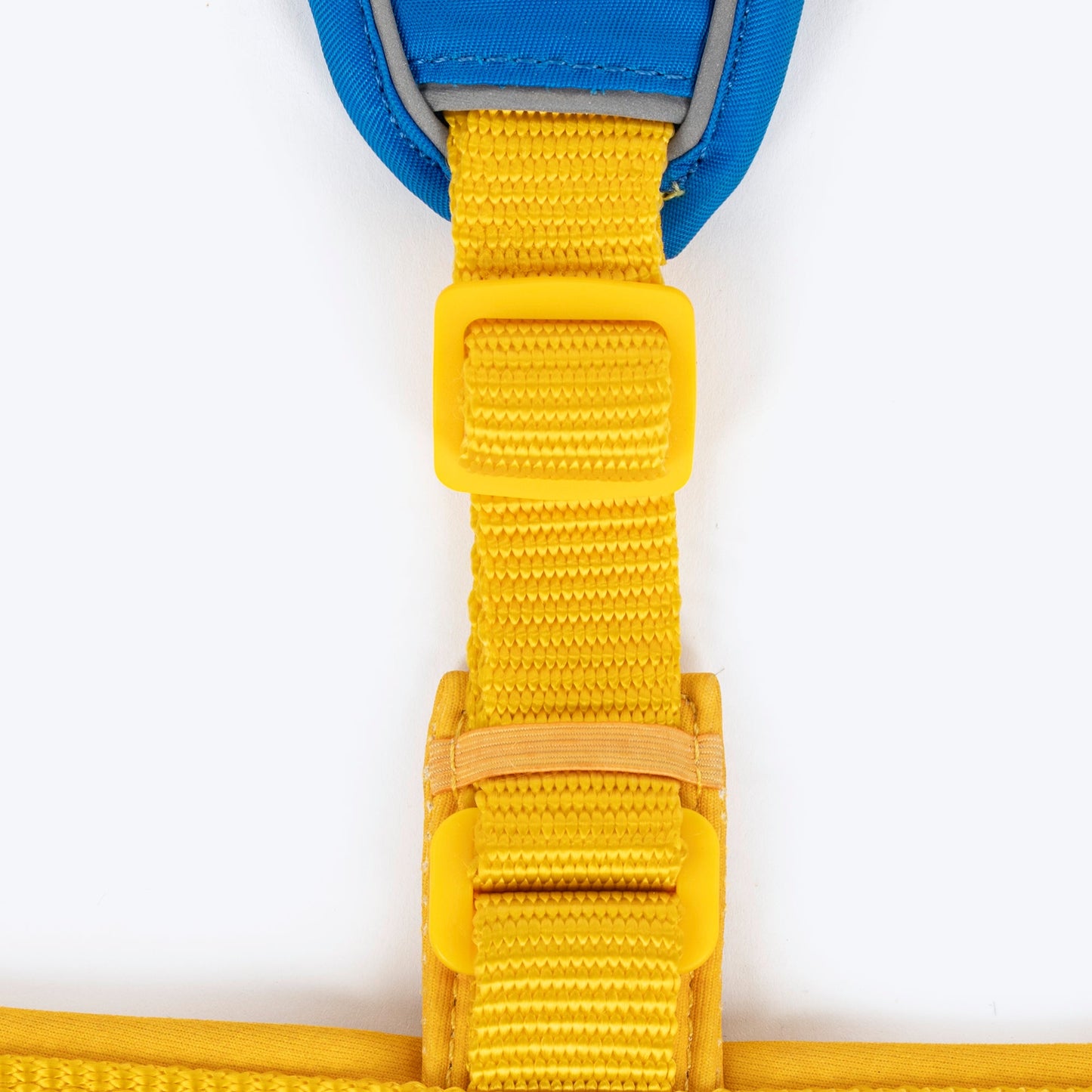 Dash Dog Walk Pro Harness For Dog - Royal Blue & Yellow