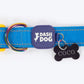 Dash Dog Padded Collar For Dog - Royal Blue & Yellow