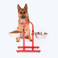 SUPER Premium Range U Shaped Double Diner Stand With Steel Dog Bowl Inserts - Red_02