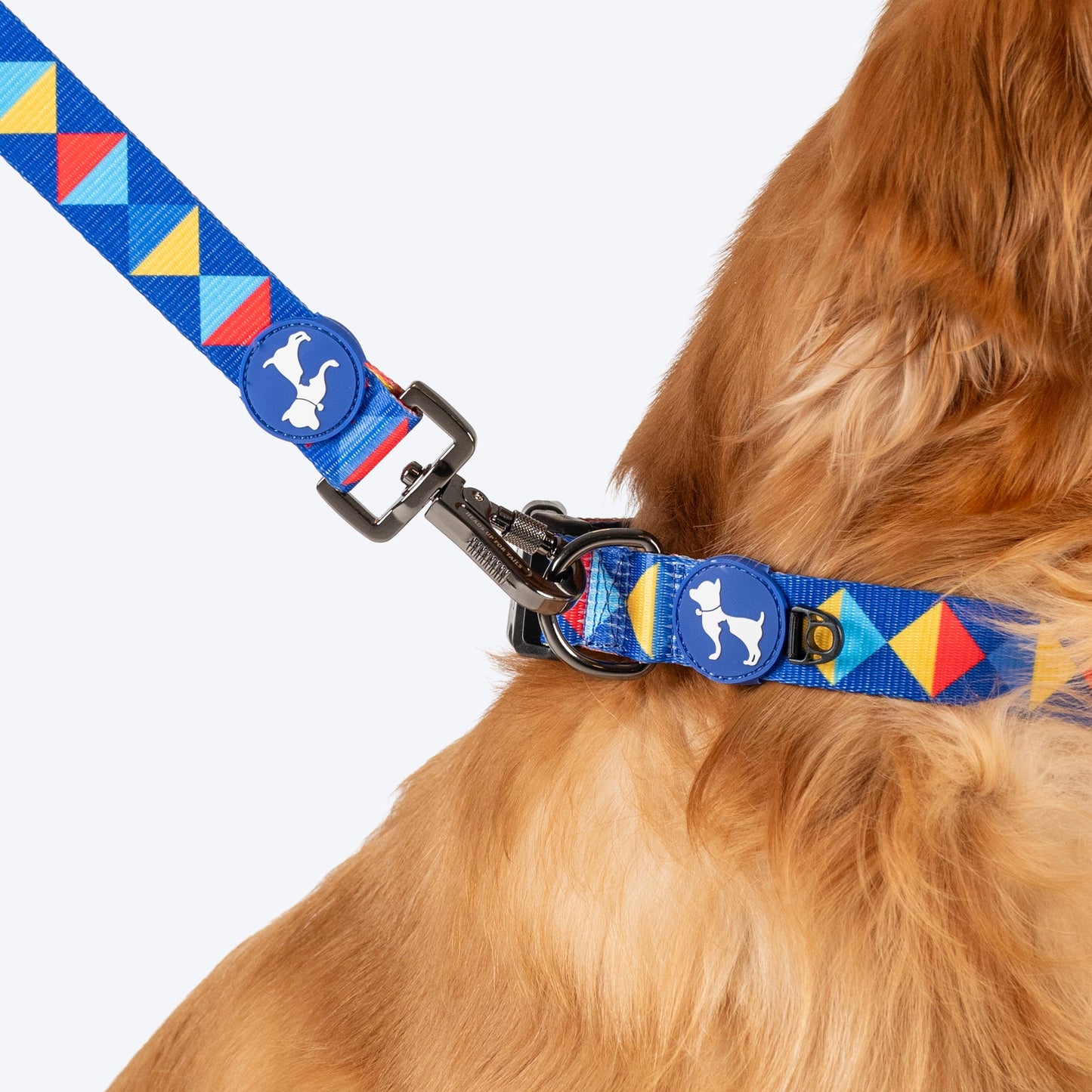 HUFT Prism Patterns Leash For Dog - Blue - Heads Up For Tails