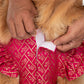 HUFT Customised Petals & Pyaar Brocade Lehenga Dress For Dog - Magenta - Heads Up For Tails