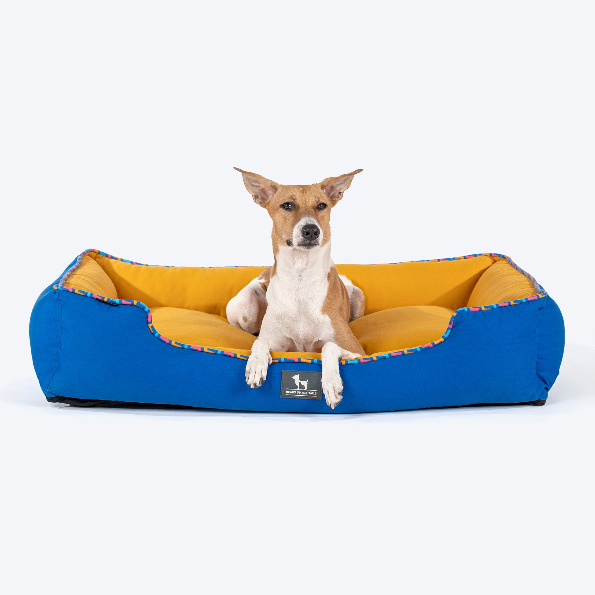 HUFT Classic Lounger Dog Bed - Blue & Mustard Yellow - Heads Up For Tails