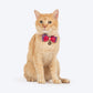 HUFT Desi Glam Bow Tie With Strap For Cat - Pink & Purple - Heads Up For Tails