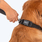 HUFT Basics Dog Collar & Leash Set - Classic Black - Heads Up For Tails