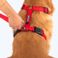HUFT Basics Dog H-Harness - Crimson Red - Heads Up For Tails