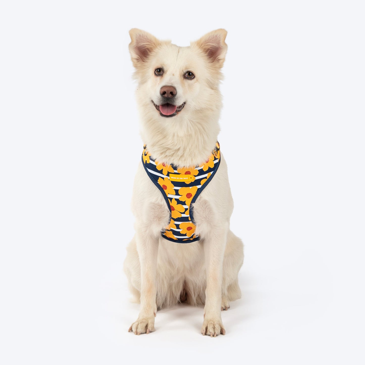 HUFT Daisy Stripes Adjustable Harness For Dog - Blue & Yellow - Heads Up For Tails