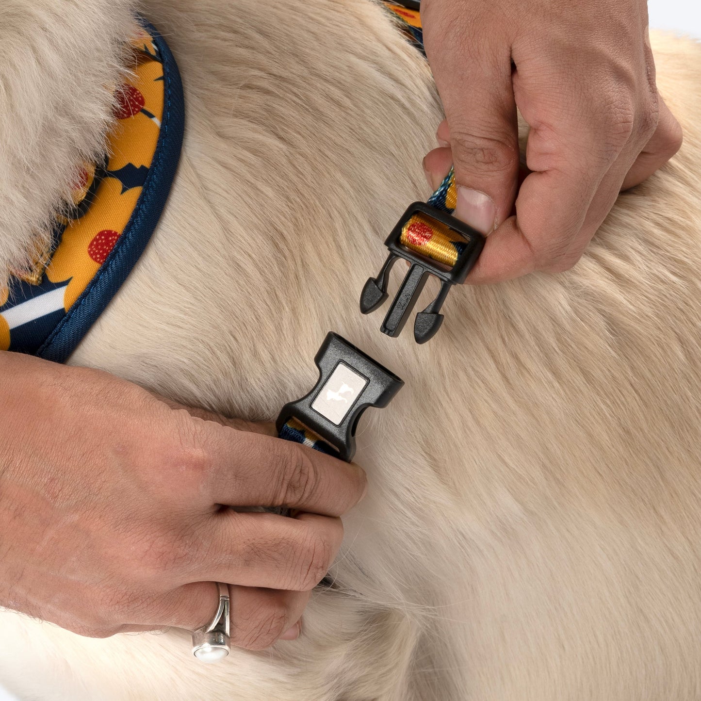 HUFT Daisy Stripes Adjustable Harness For Dog - Blue & Yellow - Heads Up For Tails