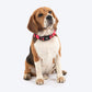 HUFT Polka Play Collar For Dog - Red - Heads Up For Tails