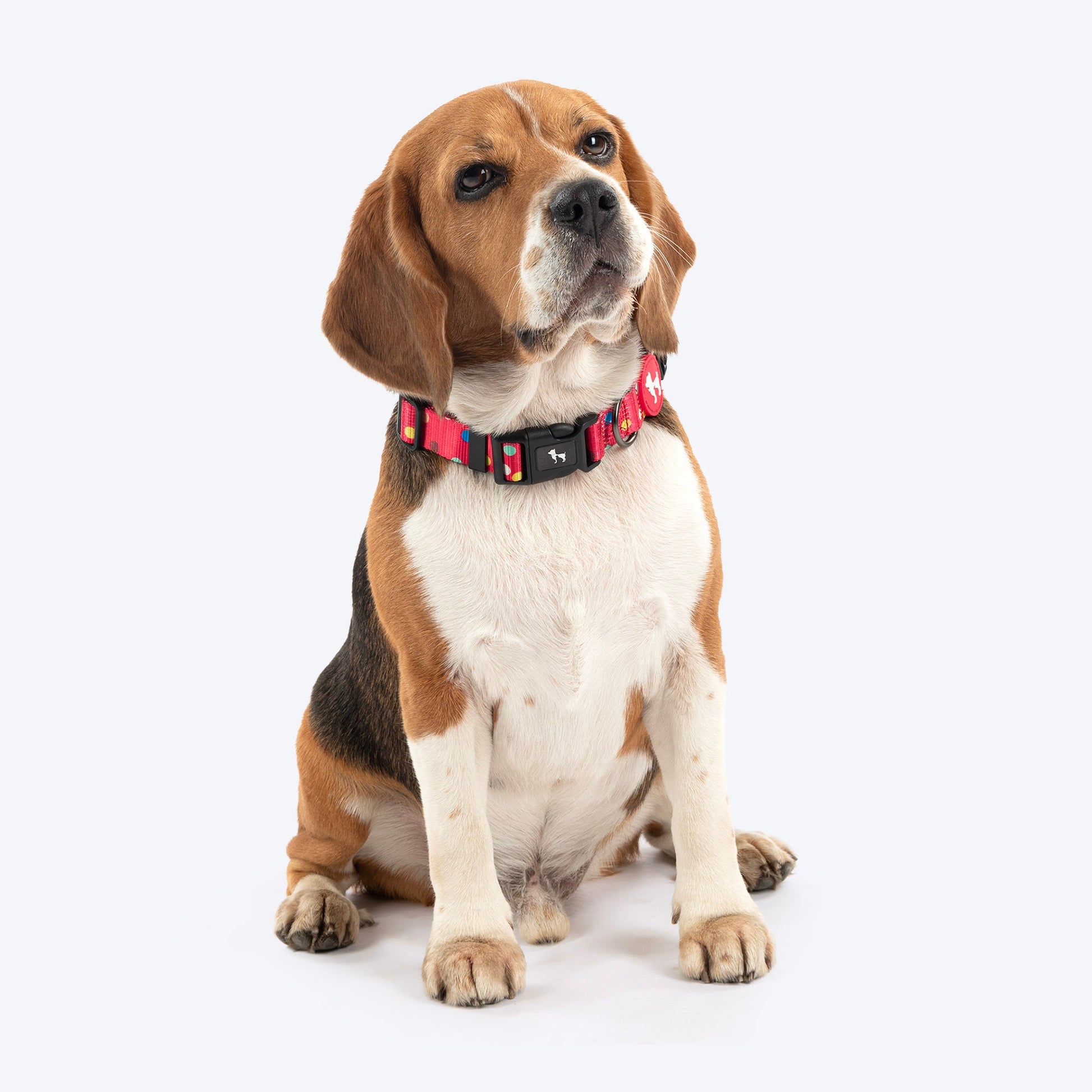HUFT Polka Play Collar For Dog - Red - Heads Up For Tails