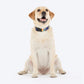 HUFT Technicolor Tartan Collar For Dog - Multicolor - Heads Up For Tails