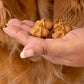 HUFT Goat Milk Dog Cookies - Blueberries - 200 gm - Heads Up For Tails