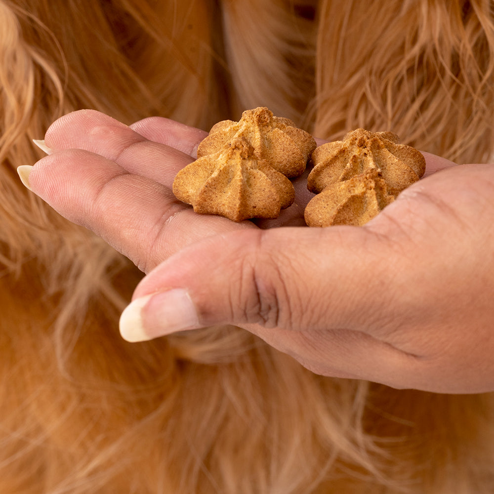HUFT Goat Milk Dog Cookie Combo - Apple & Pumpkin - 200g Each - Heads Up For Tails