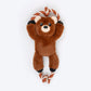 Dash Dog Tug-a-Bear Squeaky Plush Toy For Dog - Brown - Heads Up For Tails