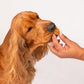 HUFT Goat Milk Dog Cookie Combo - Apple & Pumpkin - 200g Each - Heads Up For Tails