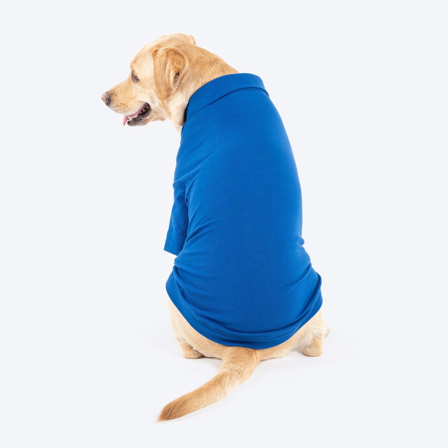 HUFT Paws Polo T-Shirt For Dog - Blue - Heads Up For Tails