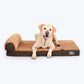 HUFT Furry Orthopedic Dog Bed - Brown (Made To Order) - Heads Up For Tails