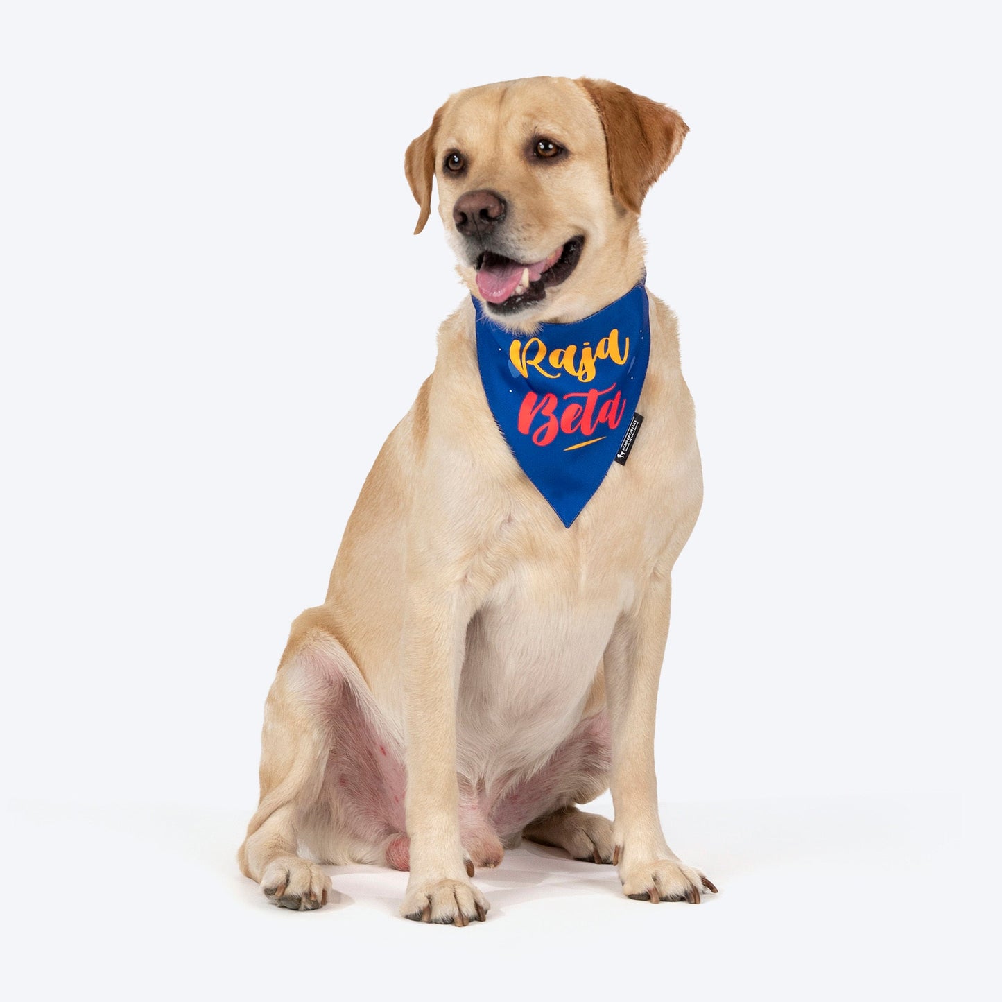 HUFT Raja Beta Bandana For Dog - Blue - Heads Up For Tails
