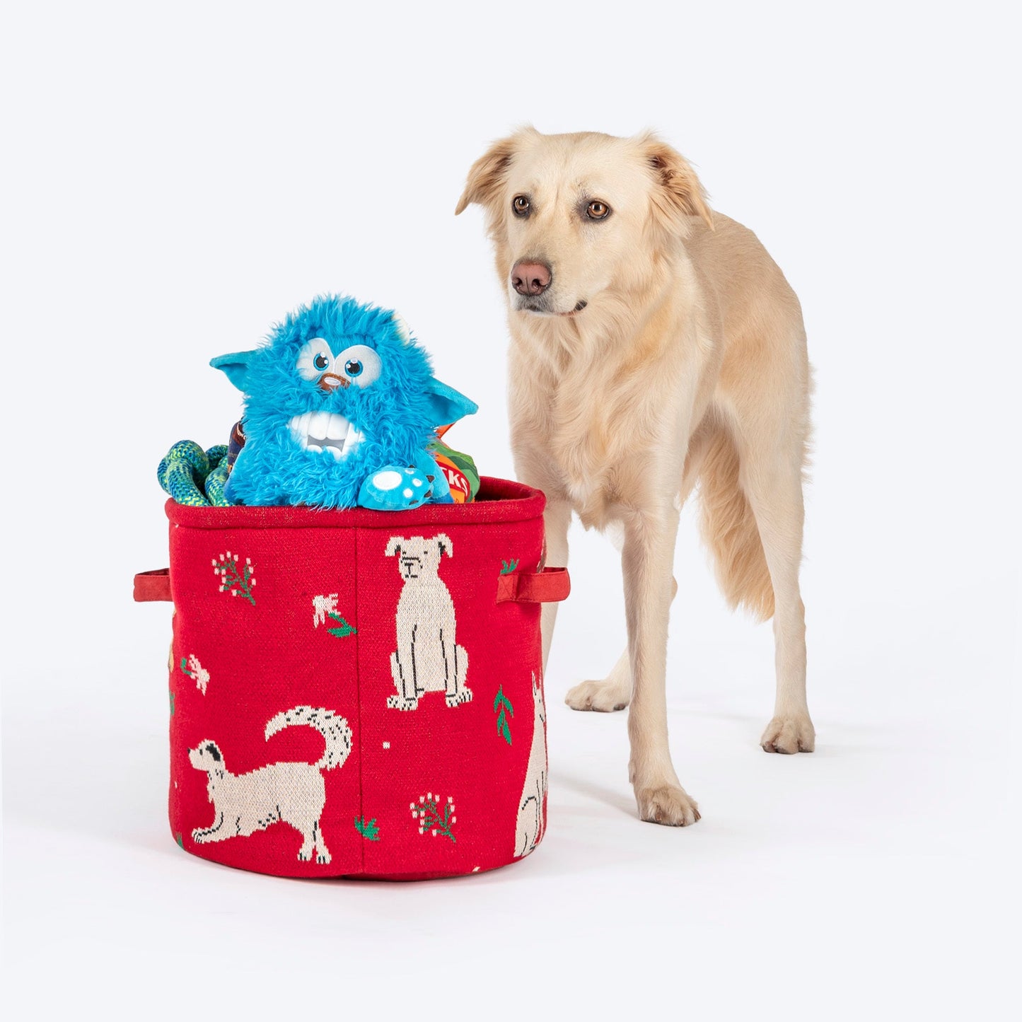 HUFT Doodle Buddy Toy Basket For Dog & Cat - Multicolor - Heads Up For Tails