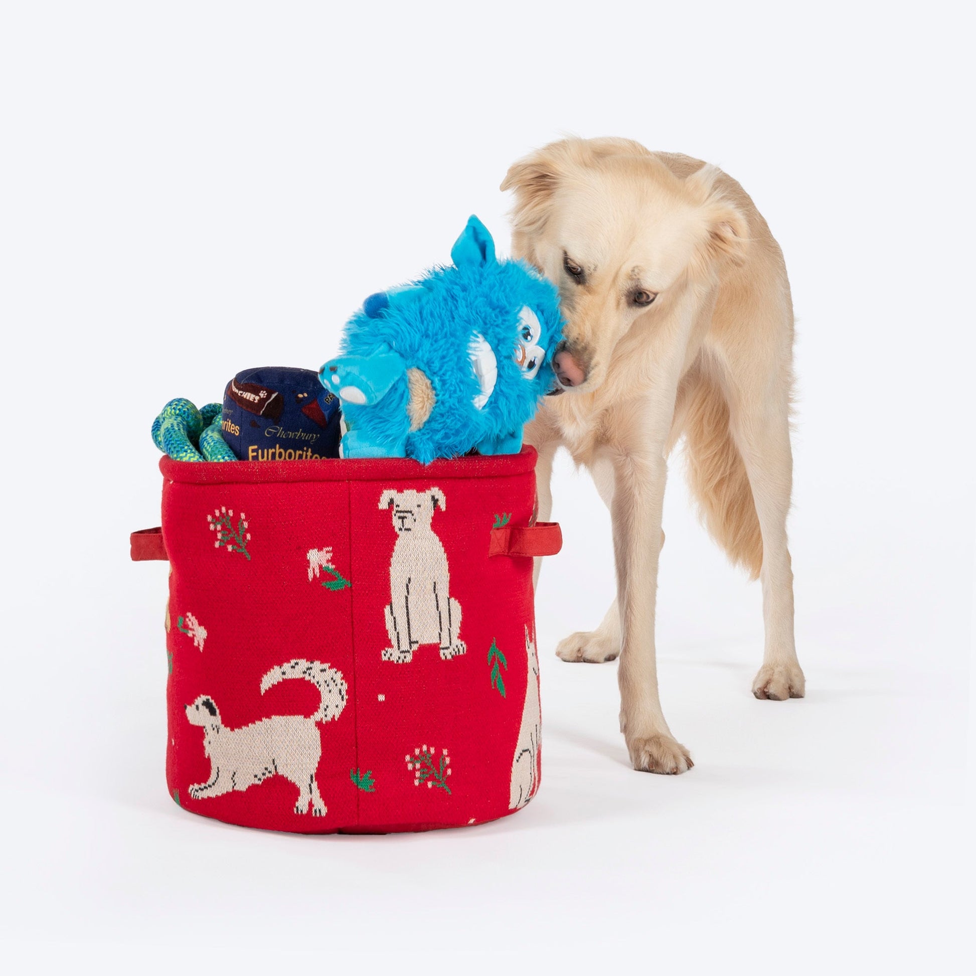 HUFT Doodle Buddy Toy Basket For Dog & Cat - Multicolor - Heads Up For Tails