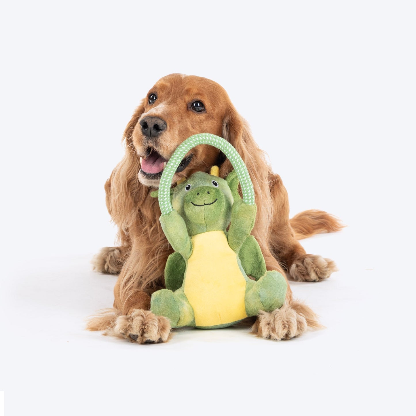 Dash Dog Dino Squeaky-Saurus Plush Toy For Dog - Green - Heads Up For Tails