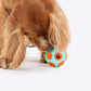 Dash Dog Toss â€˜nâ€™ Treat Ball Chew Toy For Dog - Blue & Orange - S - Heads Up For Tails