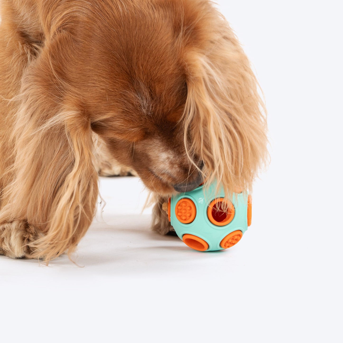 Dash Dog Toss â€˜nâ€™ Treat Ball Chew Toy For Dog - Blue & Orange - S - Heads Up For Tails