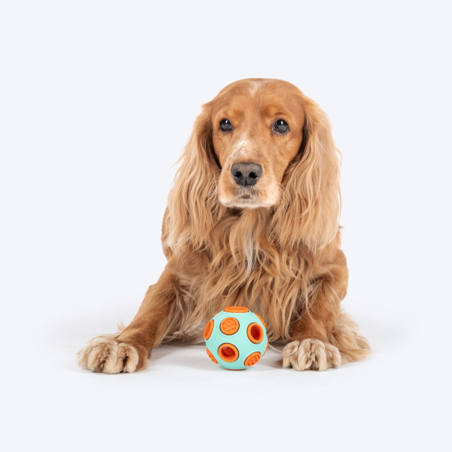 Dash Dog Toss â€˜nâ€™ Treat Ball Chew Toy For Dog - Blue & Orange - S - Heads Up For Tails