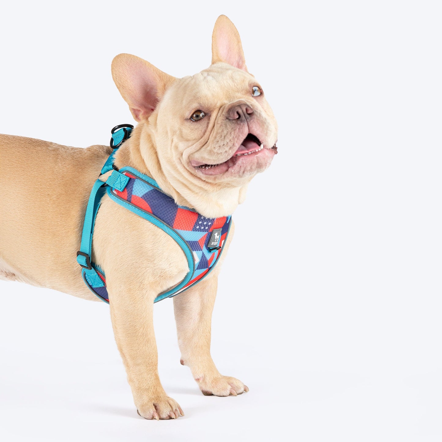 HUFT Free Flow Step-In Harness & Leash Set For Dog - Geomatrix Blue - Heads Up For Tails