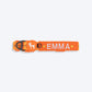 HUFT Xplorers Personalised Dog Collar - Orange - Heads Up For Tails