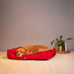 HUFT Classic Lounger Beds For Dogs - Red & Navy - Heads Up For Tails