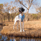 Dash Dog Circle Double Harness - Aqua Blue & Lavender - Heads Up For Tails