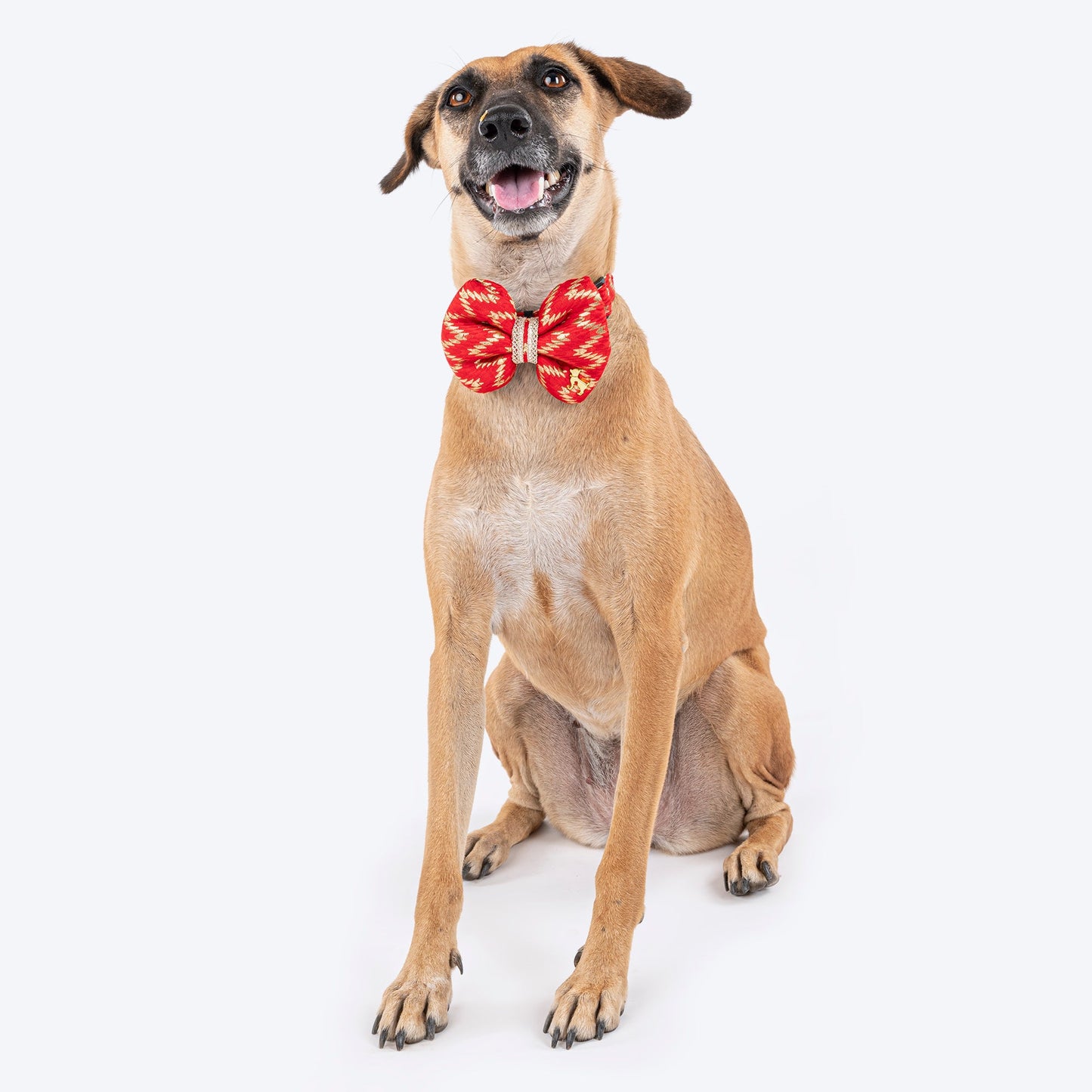 HUFT Festive Desi Glam Dog Bow Tie With Strap - Red - Heads Up For Tails